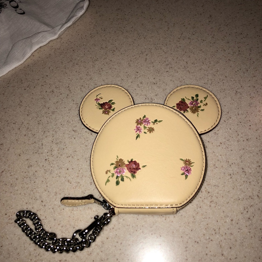 Disney x coach